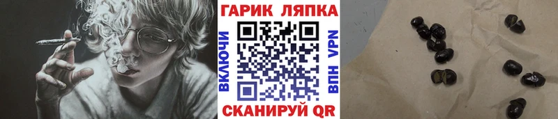 ГАШ гарик  Дальнереченск 