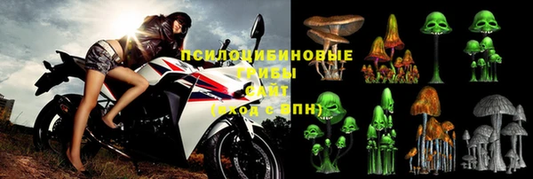 твердый Вяземский