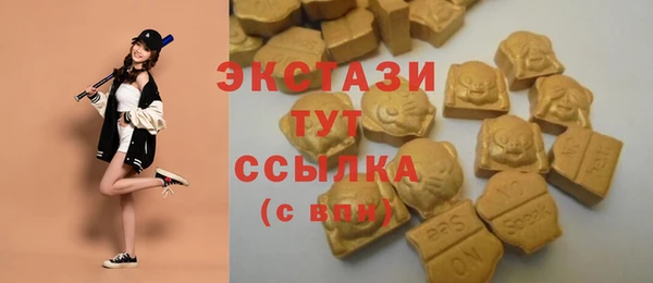твердый Вяземский