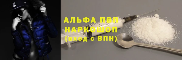 твердый Вяземский