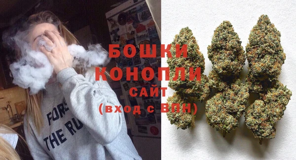 твердый Вяземский