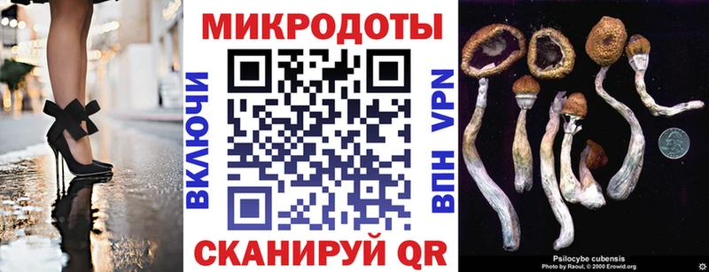 наркошоп МЕГА tor Галлюциногенные грибы Psilocybine cubensis Дальнереченск