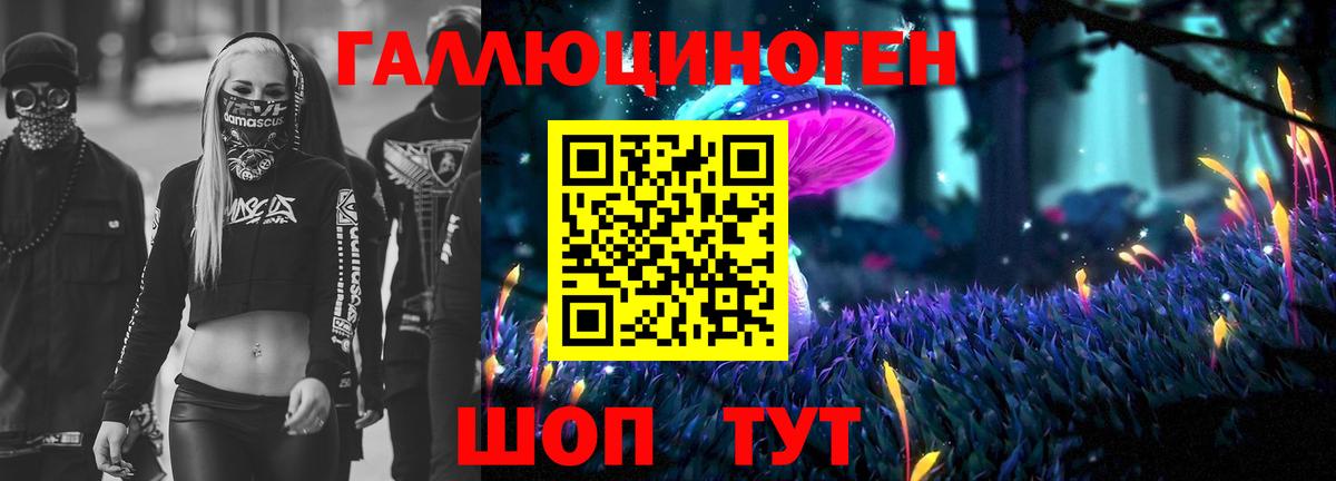 Дальнереченск  Галлюциногенные грибы MAGIC MUSHROOMS  Вход с VPN 