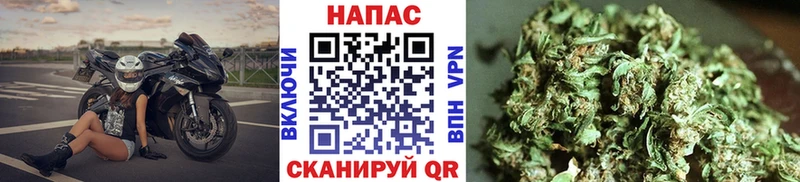 МАРИХУАНА планчик  Дальнереченск 